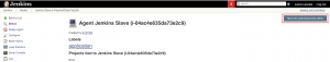 Manage Jenkins Slave 
