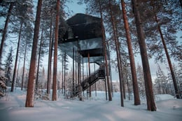 treehotel-1
